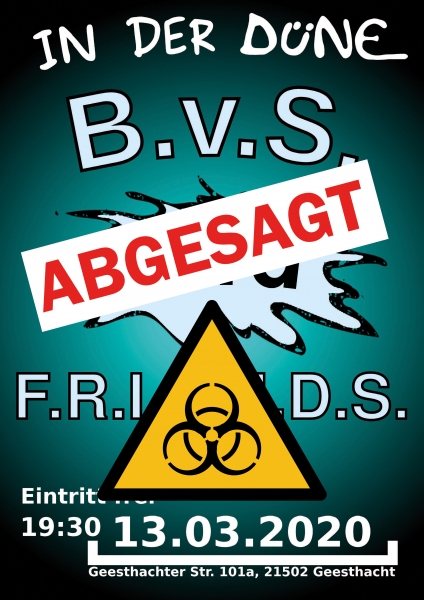 BVSandFriendsII_-_corona